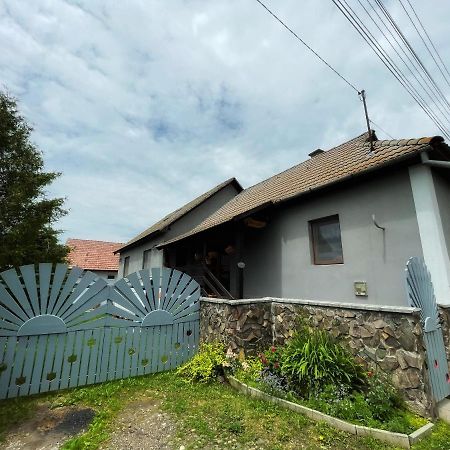 Casa De Oaspeti Cristina Fitod Zewnętrze zdjęcie