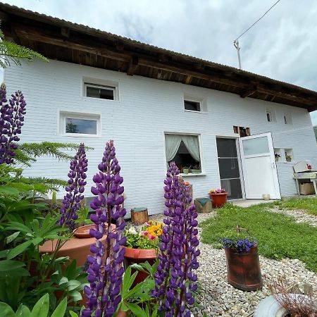Casa De Oaspeti Cristina Fitod Zewnętrze zdjęcie