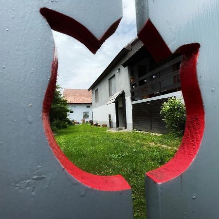 Casa De Oaspeti Cristina Fitod Zewnętrze zdjęcie