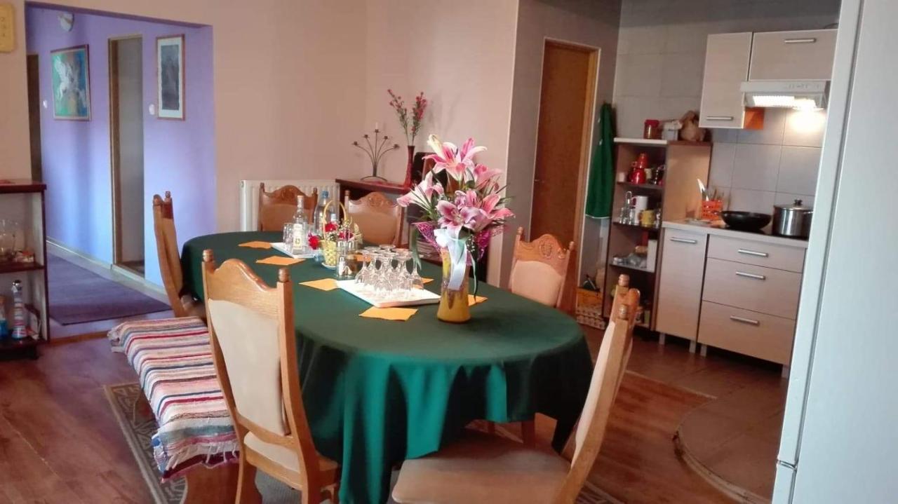 Casa De Oaspeti Cristina Fitod Zewnętrze zdjęcie