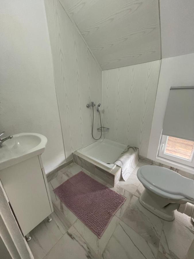 Casa De Oaspeti Cristina Fitod Zewnętrze zdjęcie