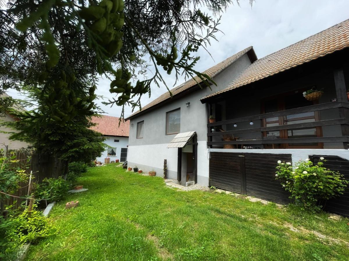 Casa De Oaspeti Cristina Fitod Zewnętrze zdjęcie