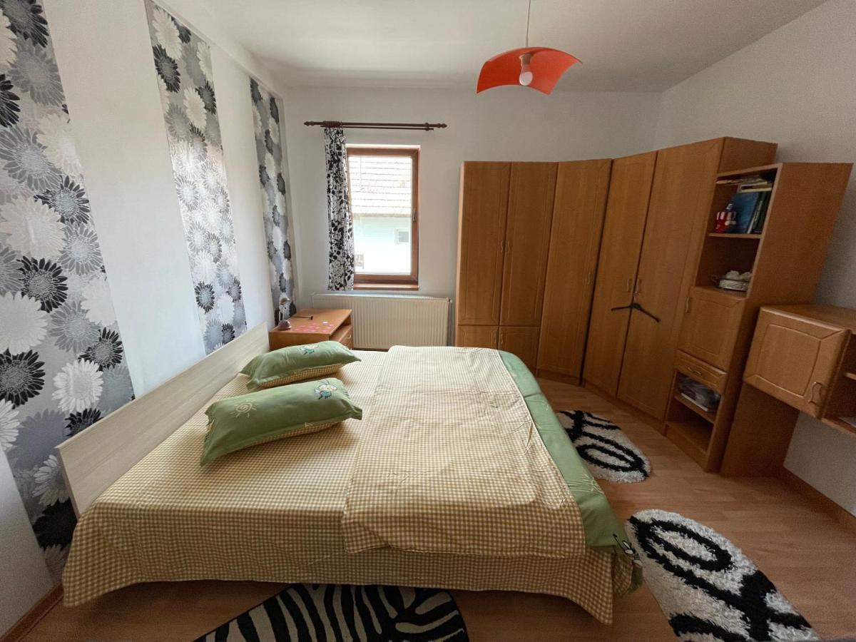 Casa De Oaspeti Cristina Fitod Zewnętrze zdjęcie