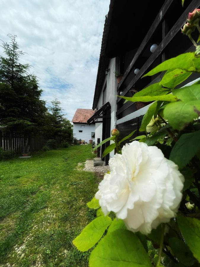 Casa De Oaspeti Cristina Fitod Zewnętrze zdjęcie