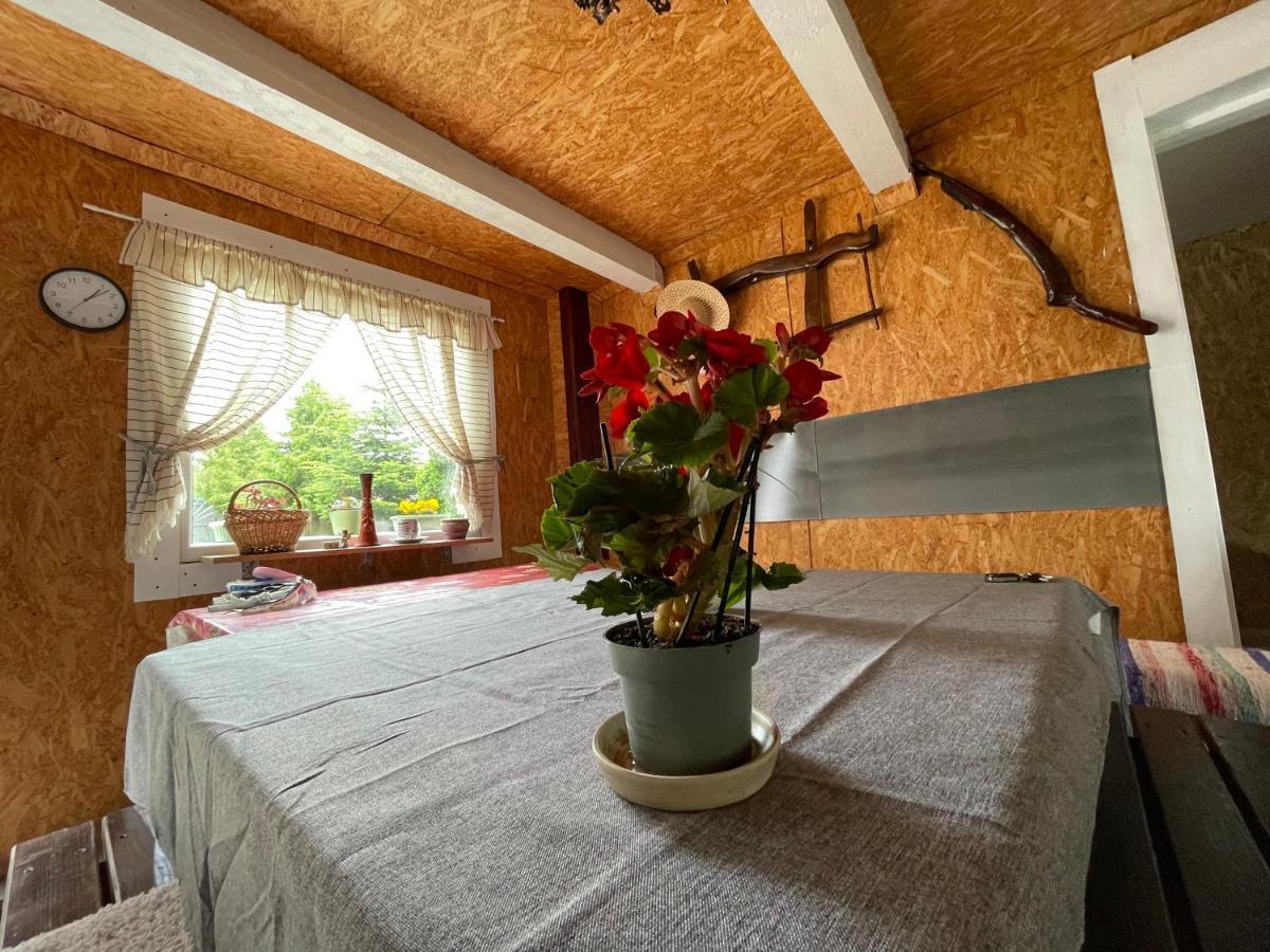 Casa De Oaspeti Cristina Fitod Zewnętrze zdjęcie